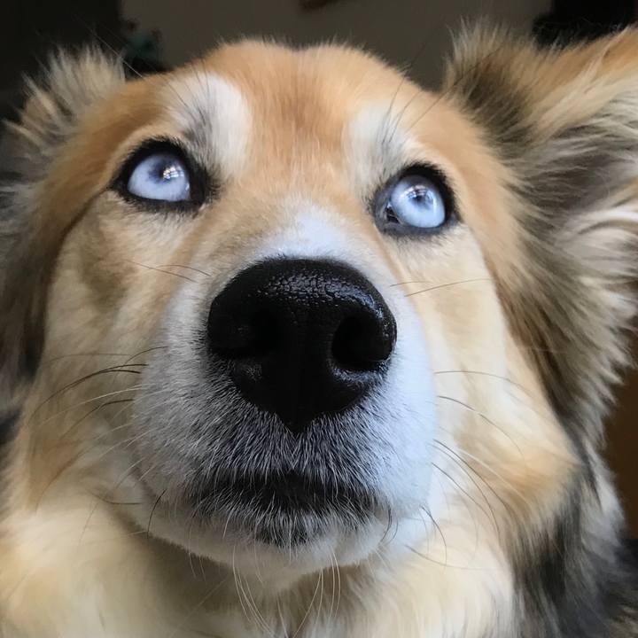 4dfdd7f4 e70e 4290 92e1 67203b5b844a 1523852041064