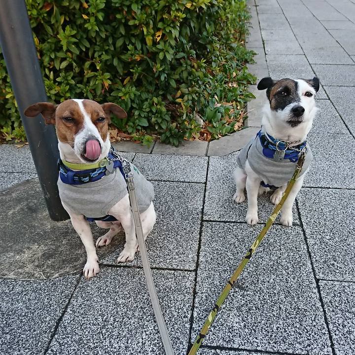 4dfde67e 0aeb 4100 9020 41bce955c7e3 1578955003243