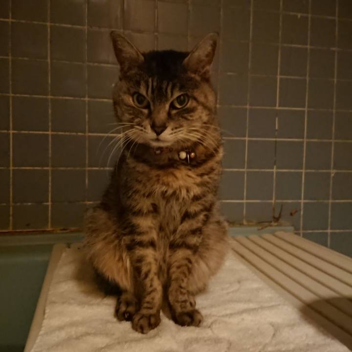 4dfe0da9 e550 4baf 8ece f5c96a076b00 1584006468452