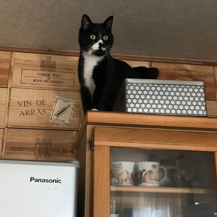 4dfe2cd6 00ee 4c1b bc4d ecec03fe5480 1551584144528