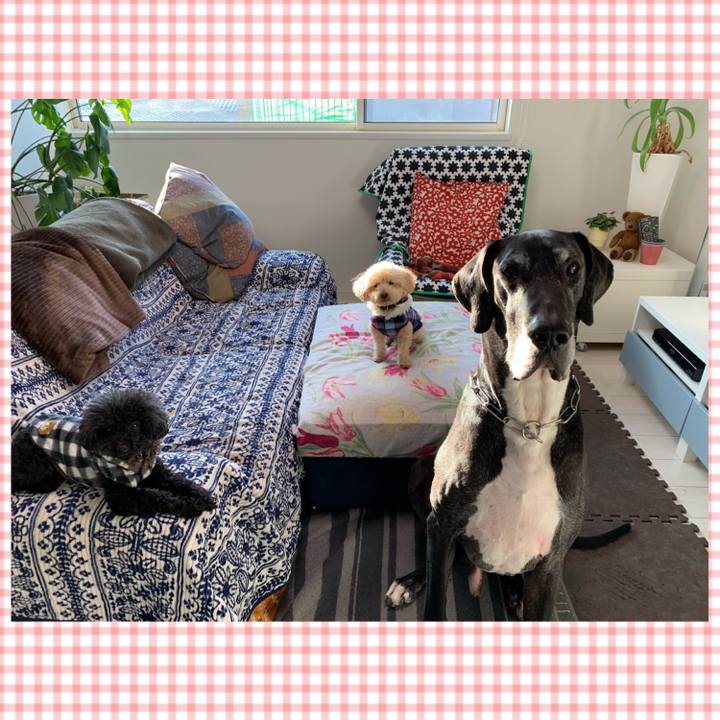 4dfe4f90 1996 48ce 8a3f a5053aff9546 1549234411935