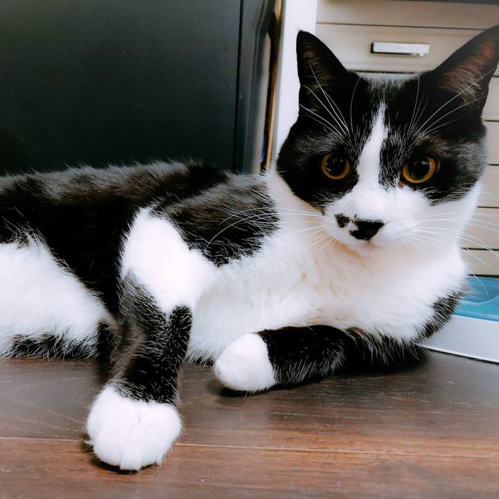 4dfe888e 0cb2 41ba a2b9 b05954a17d0e 1556637076477