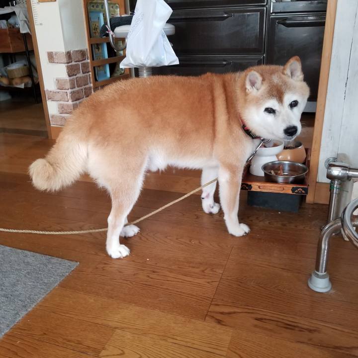 4dfe955b 5ffd 4c6a 88c8 355d2396fcd5 1727315246767