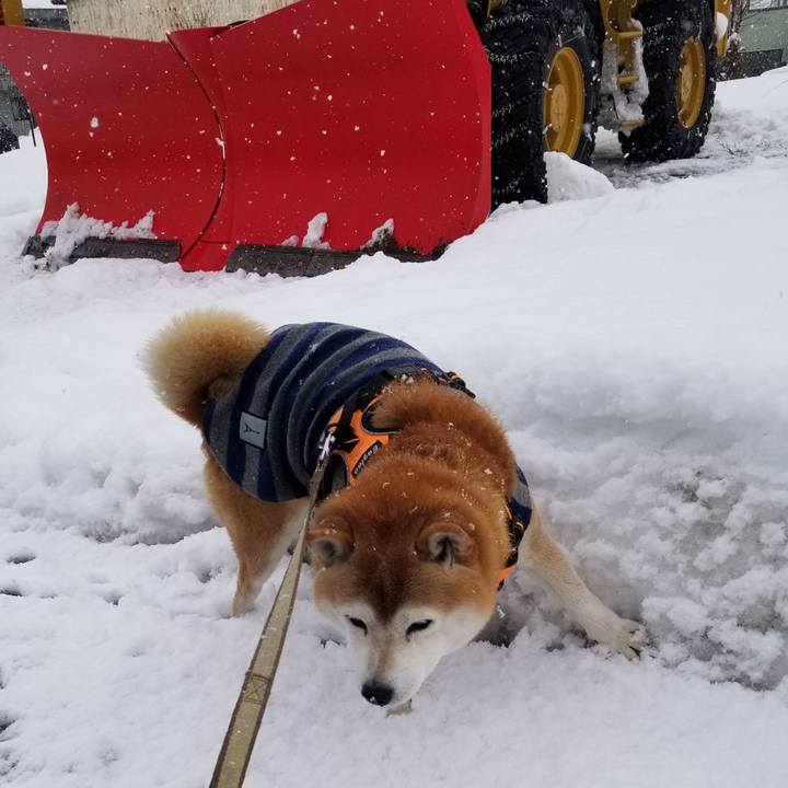 4dfeac31 bd84 4d4f 9f04 810dbf28113d 1672638342579