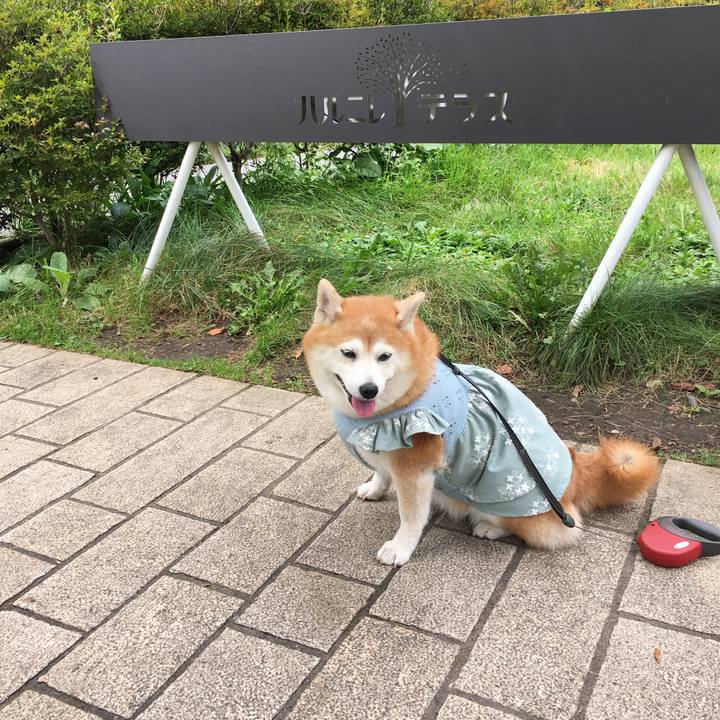 4dfeb986 3d45 4ef5 a454 eafee8add327 1535702086393