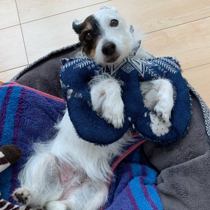 4dff09be 6a56 4a34 8a28 ab7566a1c641 1715822240843