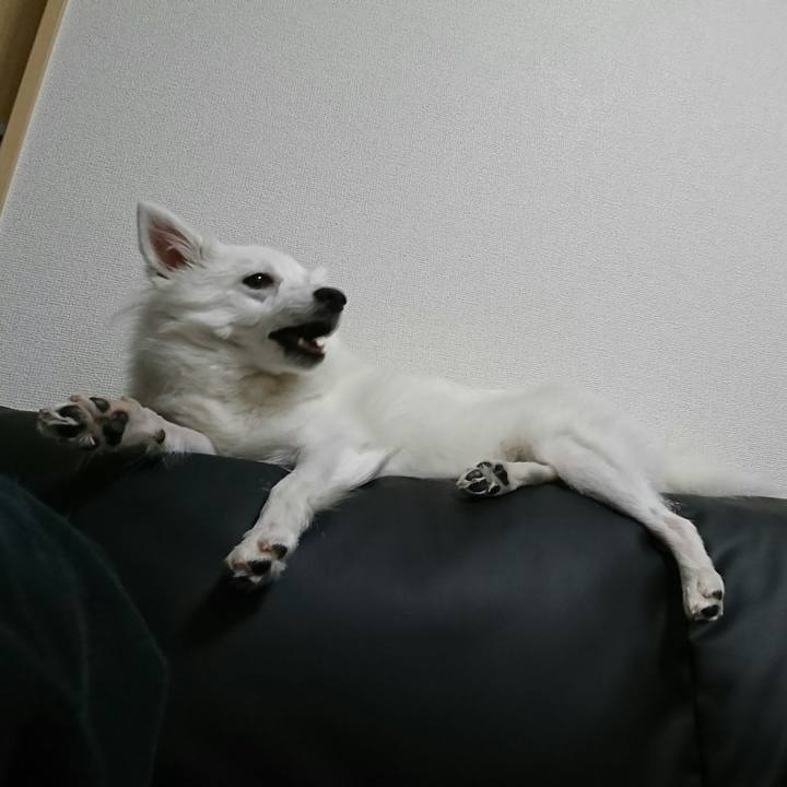 4dff0c08 953f 49f8 ae9f d216d92b6000 1510117220310