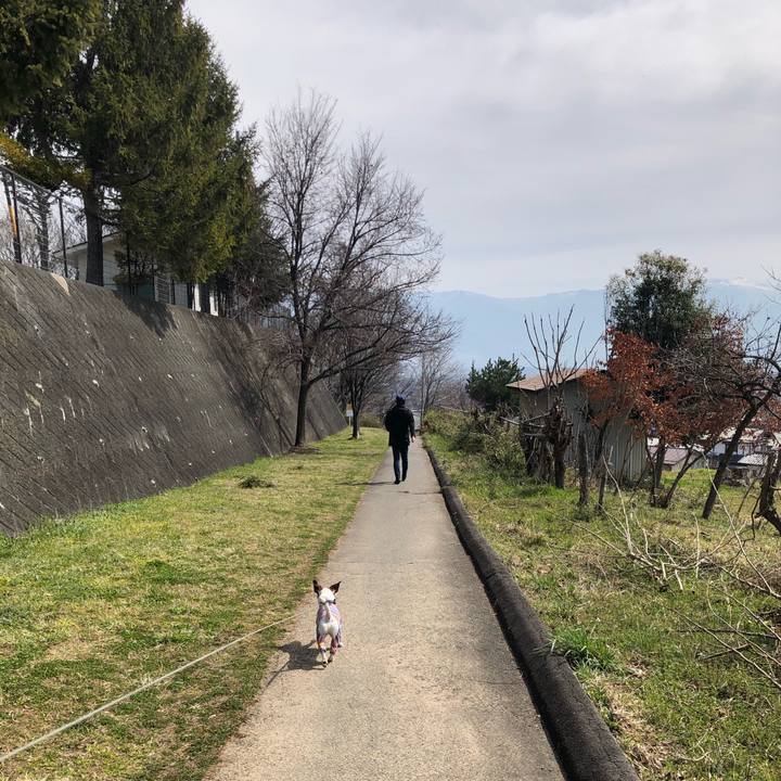 4dff1cb1 ce43 4ad0 af0e 9510e2e91220 1584083176984