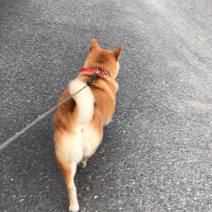 4dff26fe 0545 4f57 a0a8 2eb046203452 1574292009563