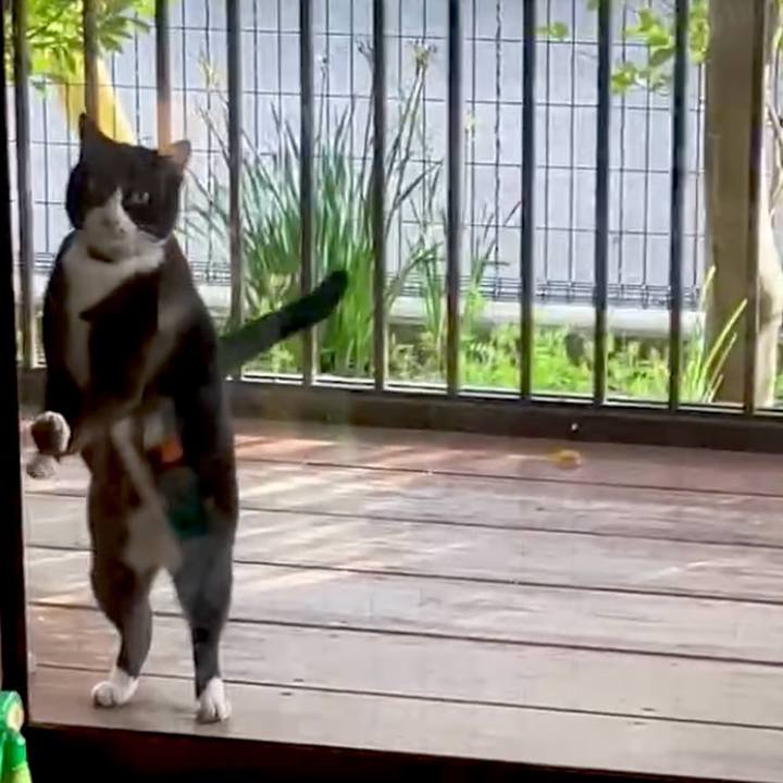 4dff40aa cc24 4502 9a76 d4bff58d8d83 1743682047216