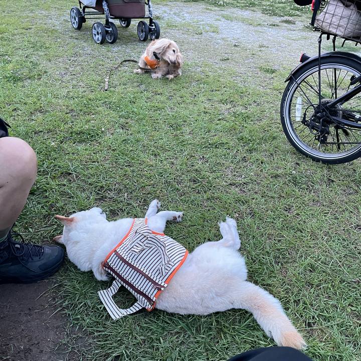 4dff4dc6 4c6a 4fe3 8c7d 261ba1f8ef60 1655045013768