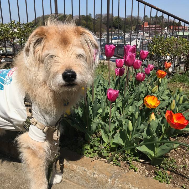 4dff6812 02b5 486f 9ddb 03c3bc67f75e 1616553435183