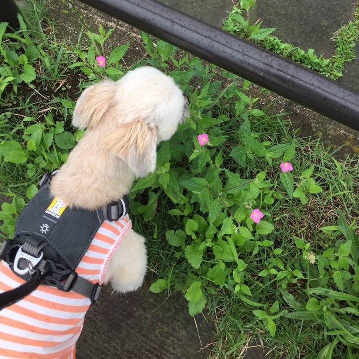 4dff6e51 cf0f 4019 9a99 4ee6910614bd 1562499765923