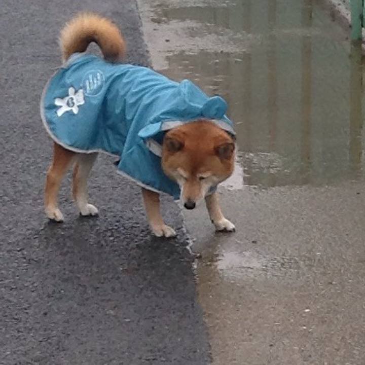 4dff7d8d 88a9 4b76 8a7c c8a538527bc2 1560585388792