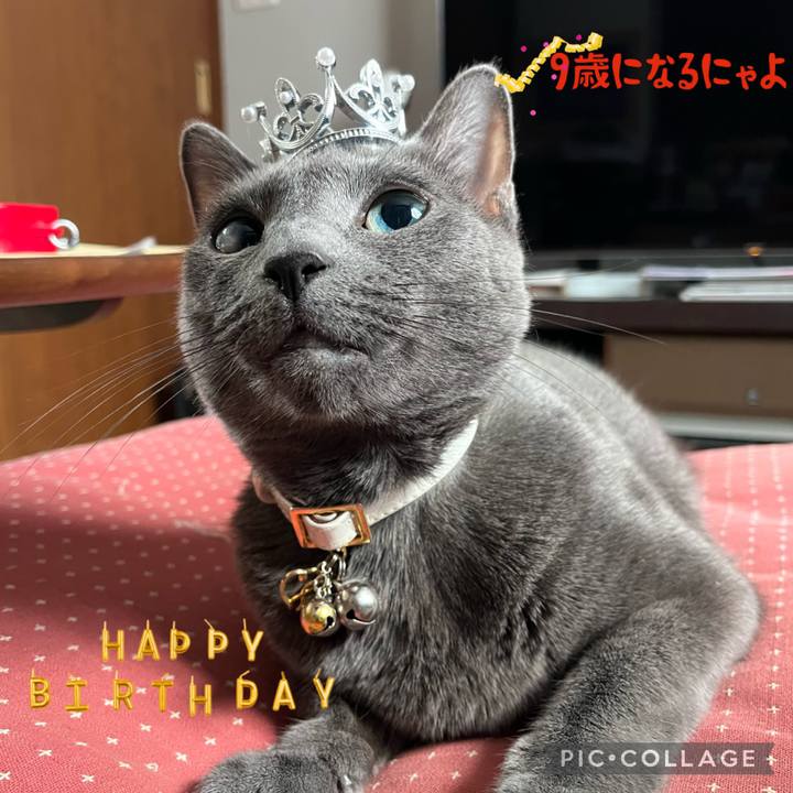 4dffc036 650e 4c9f a62f 6af572a07475 1683329270952