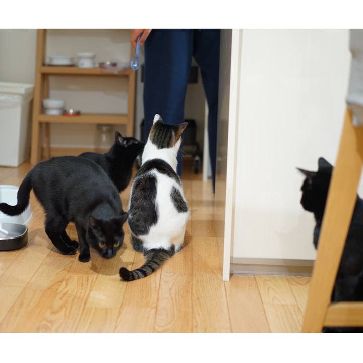 4e0049cc 64a6 4733 abad f7f1b33b8bfc 1557647002889