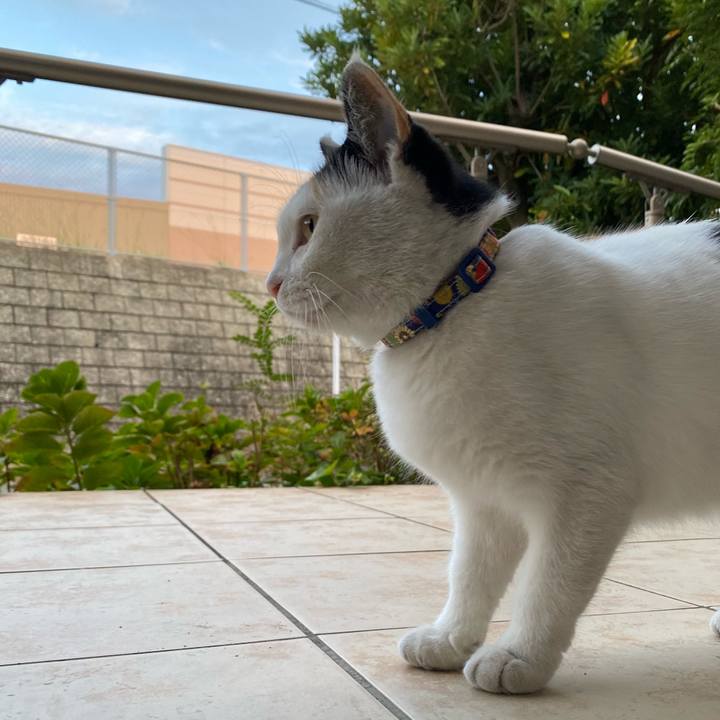 4e004cc0 44f0 4391 88b9 f9c1c8c23d40 1635288999599