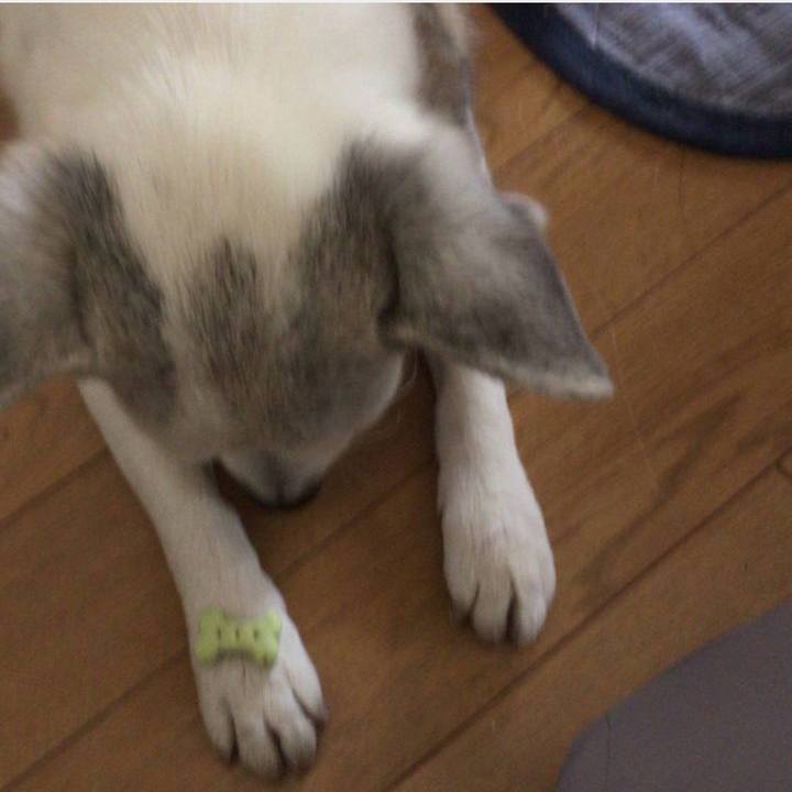 4e0080f0 56a4 4157 8eda 0354c4f62391 1772064125845