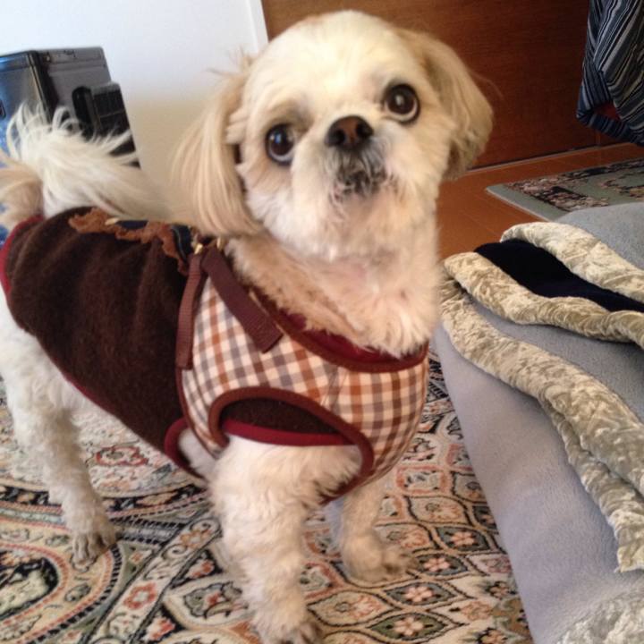 4e00d1f9 4ad4 4d72 9732 b048adcffd8e 1515377783308