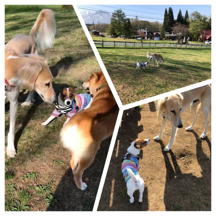 4e00dad8 8e54 4a71 a7b7 4f5af6a71e79 1524909708309