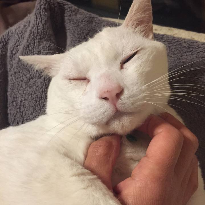 4e00eee8 c5ad 43c1 8277 49d5b368642e 1556120218145