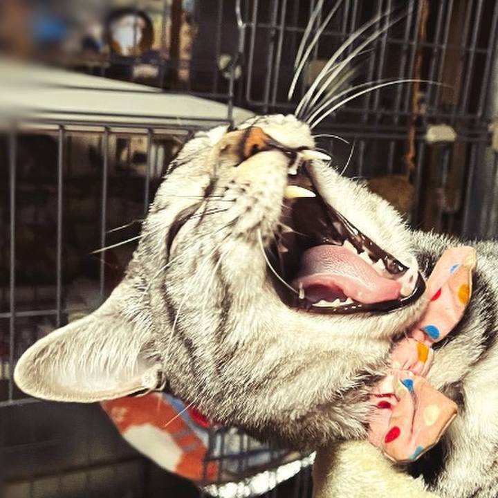 4e0100a0 6625 4b96 91d1 3461b002ea09 1766956933110