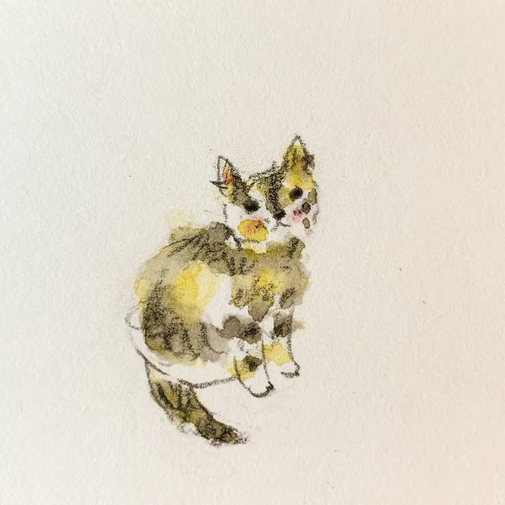 4e010e47 fc76 433b 9694 de105a5342aa 1635248975061