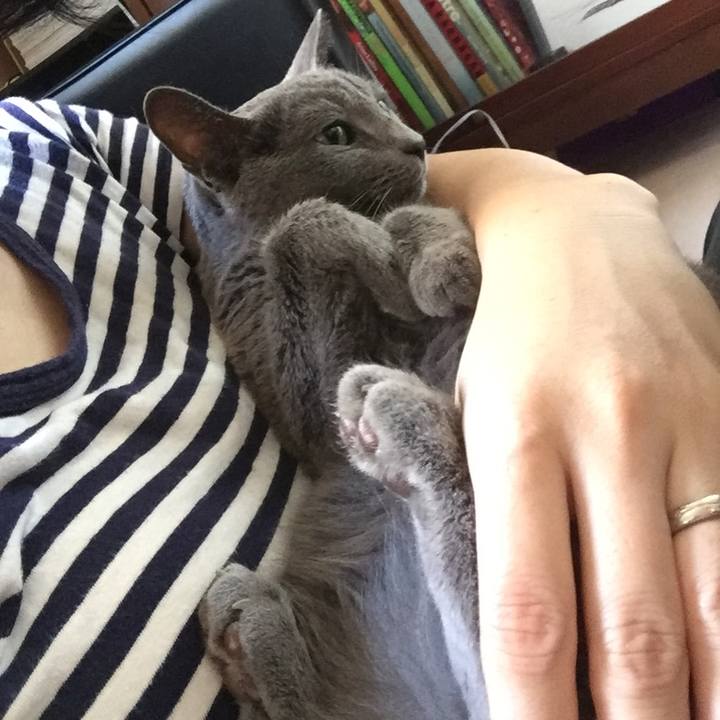 4e01224d 8c49 461d b920 2fe5d335750e 1536405812743