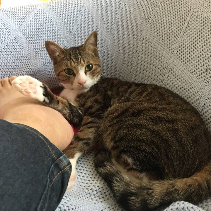 4e014bed f7c0 4b01 a4c2 89972eb14ca4 1683069606455