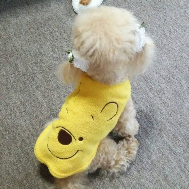 4e01bf49 0800 4f4e 934d f99436f1f894 1537867150727