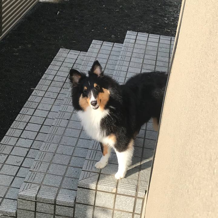 4e01c962 852a 4e00 8363 001e2357f55a 1527110172859