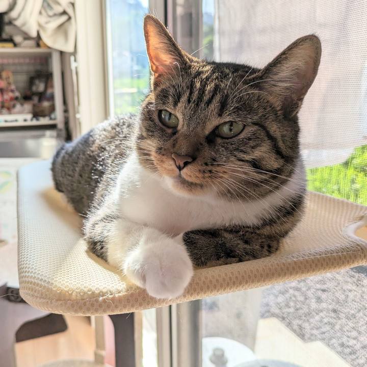 4e01d13e bf8b 4cc1 b7a2 f659b6f78eeb 1691105217810