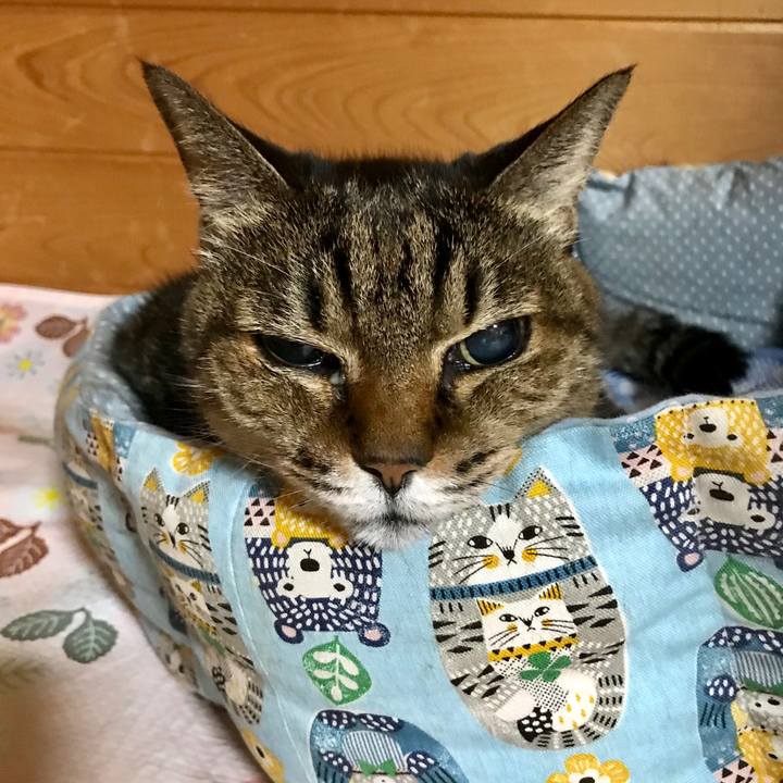 4e023122 a657 4d6c 8f89 ee20ffb7e561 1543581399898