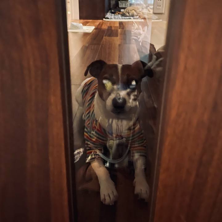 4e0235ed e6d0 45e4 b124 86b2cd7425e6 1740578915326