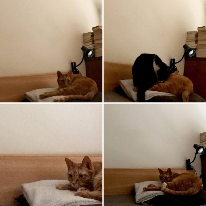 4e024230 908f 4d78 a2e1 e5b731dd5834 1531559138601