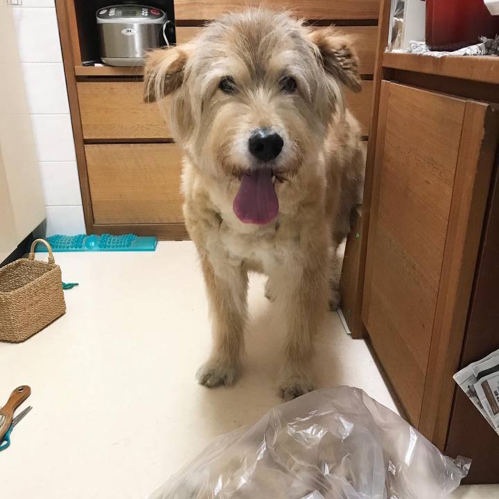 4e0299e9 57f1 458e 824f f402174a7b02 1627441907926