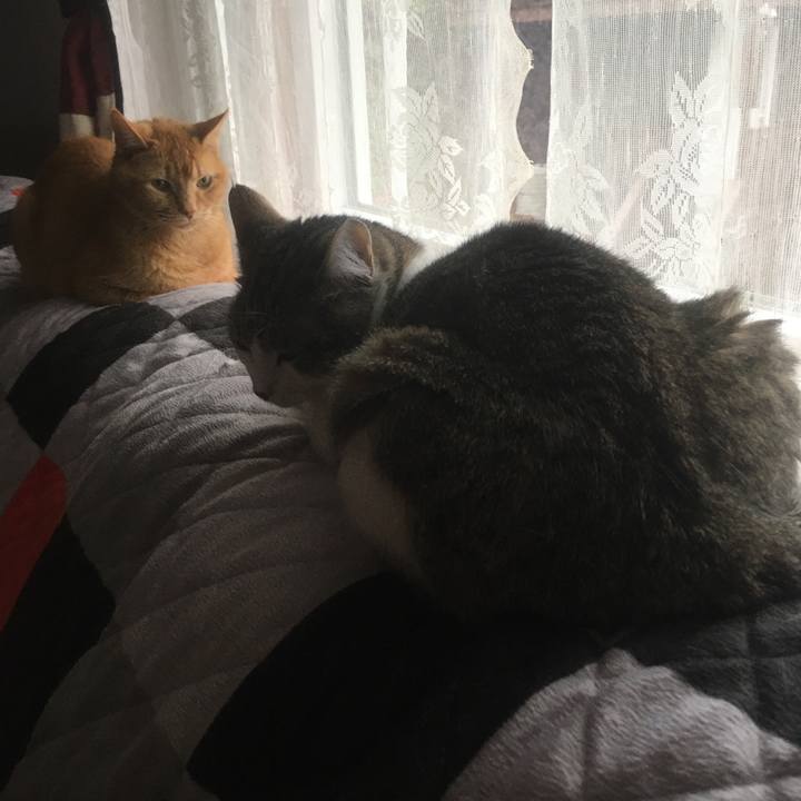 4e02d231 d37a 4b3e aed9 09f3ae65afb8 1618619676800