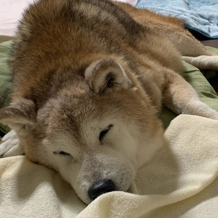 4e02eca6 20e5 43a5 9d13 1f8936526e0b 1694353947148