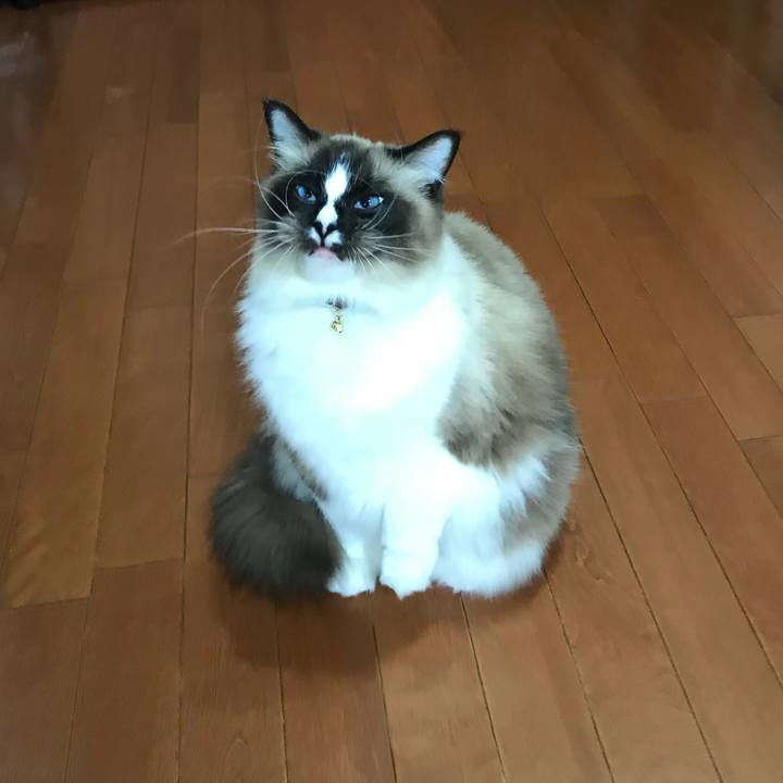 4e0322ed 16aa 41af a307 93b42a24f617 1516312691946