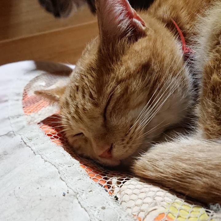 4e039f5e 84b8 4565 9ede ccd5c1a95f2d 1571317074110