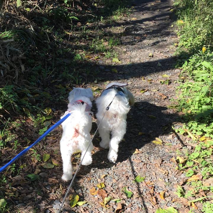 4e03f490 5eb2 45a1 b6b8 3967a5216fd5 1603628618502