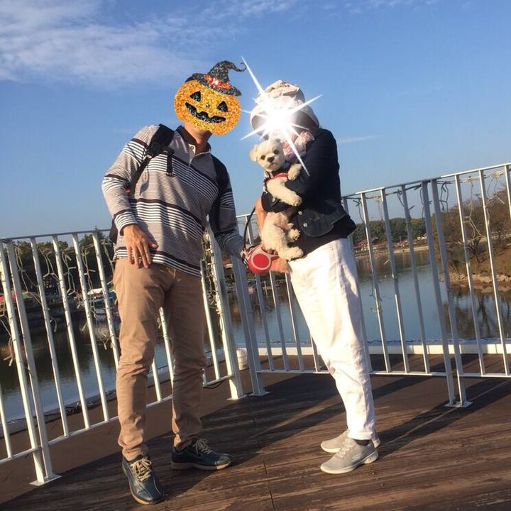 4e03fa7e d153 4265 bcae 62e5b1006fe6 1509452339333