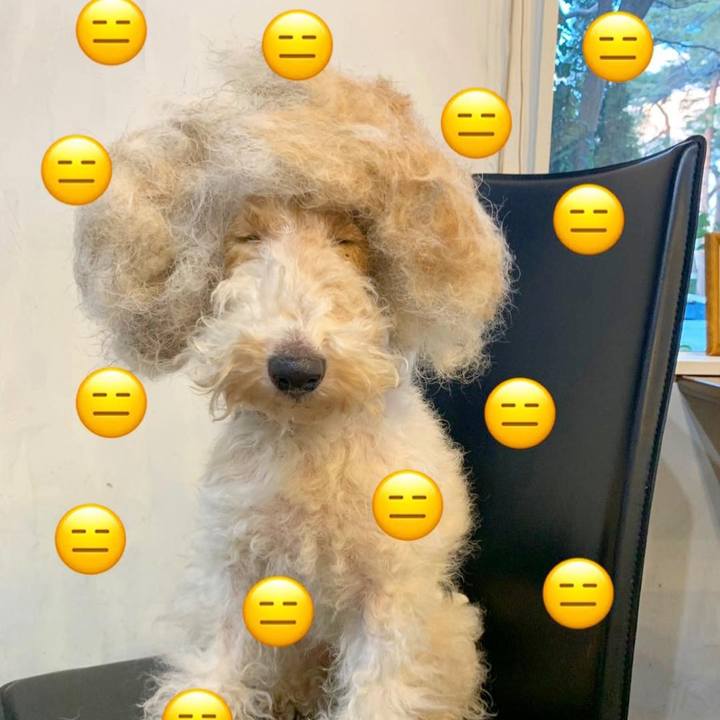 4e04341a 31c2 4b7c 9578 735da5071b78 1547808626027