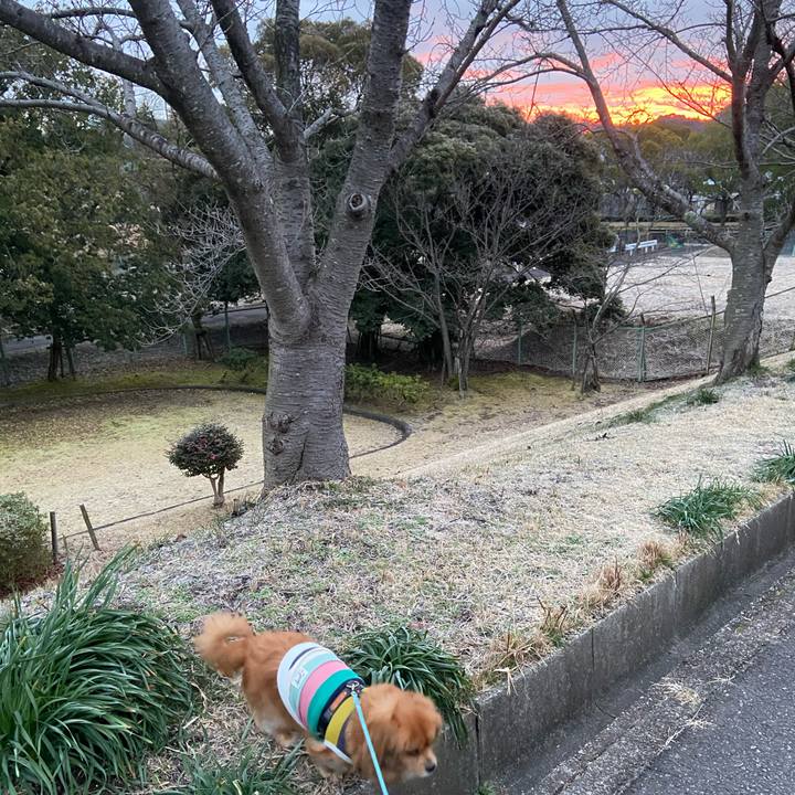 4e0441fb 6686 4aea a6e1 643e4ec30998 1613685118039