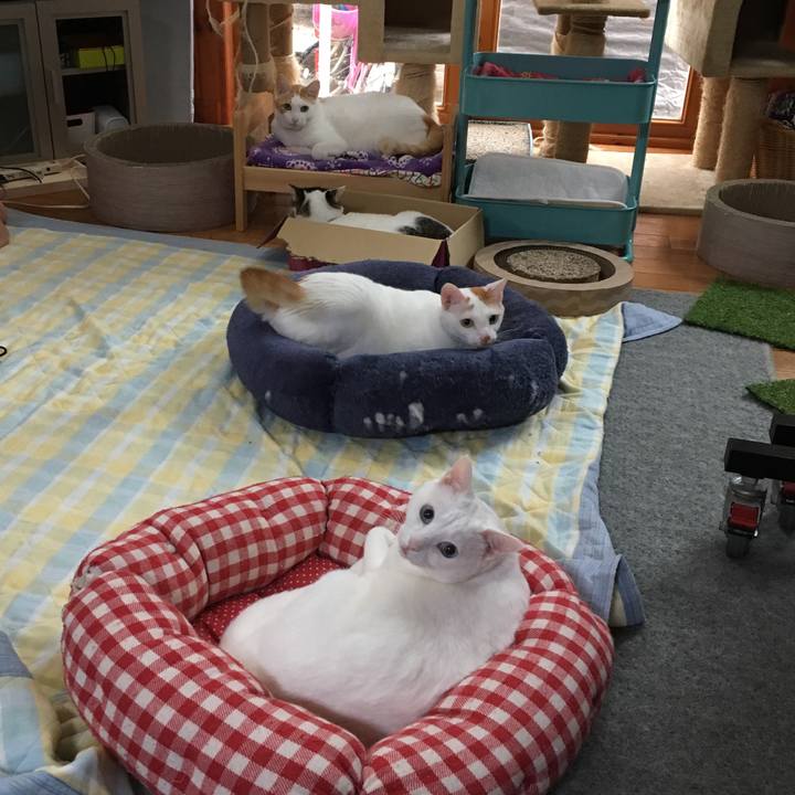 4e0455ec 25e8 44f6 8d5f 0bcc5b6f7404 1538369390789