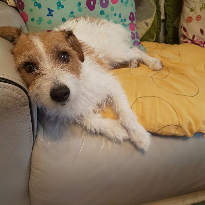 4e046a1d b317 4c37 bad6 5fe4f969ccc6 1625191851033