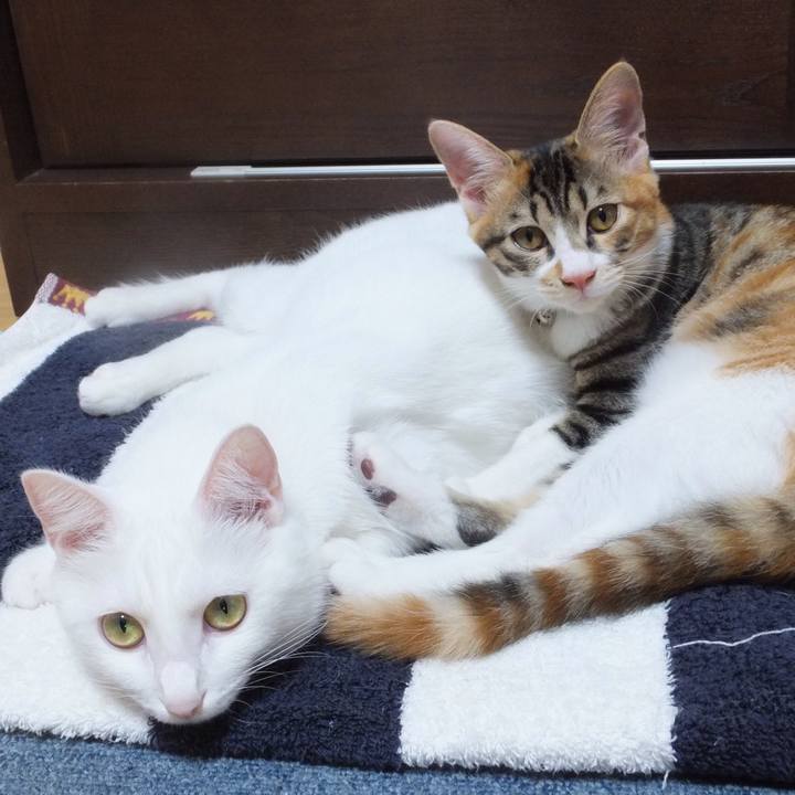 4e046c66 885f 4ed5 9746 8e97eb965fd8 1630988196383