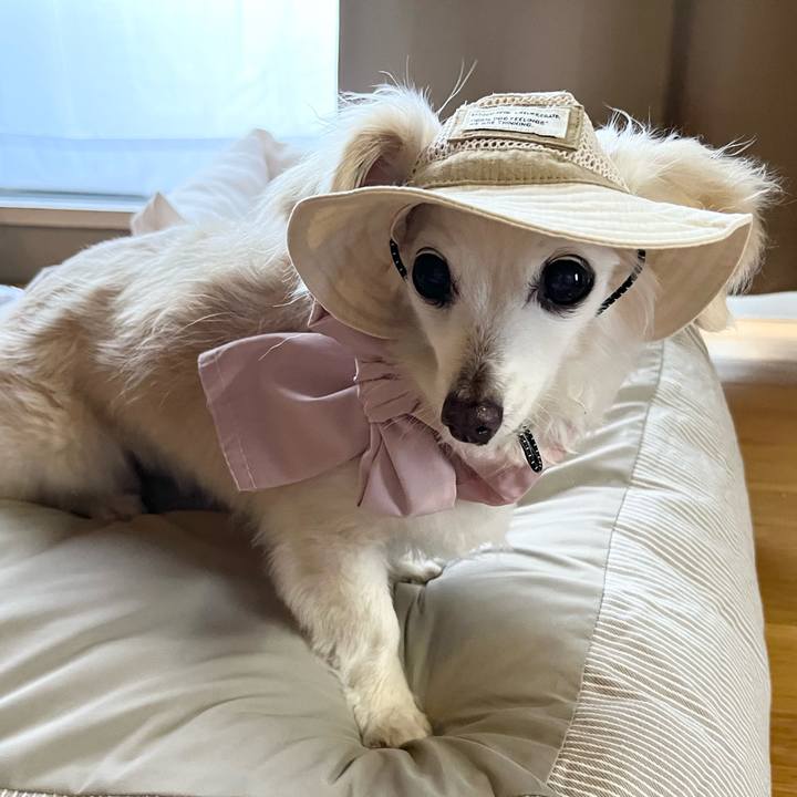 4e048071 2798 4ac1 9e33 9c55574e4650 1750504020782