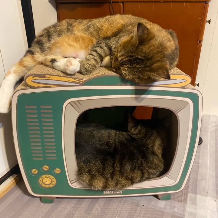 4e0483b5 262c 4419 8dff 7256dca6ef0a 1632138191799