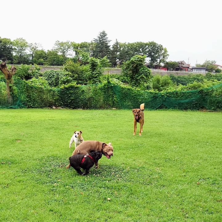 4e04a3e1 b4c8 43f5 8123 e856758cc566 1752281601909